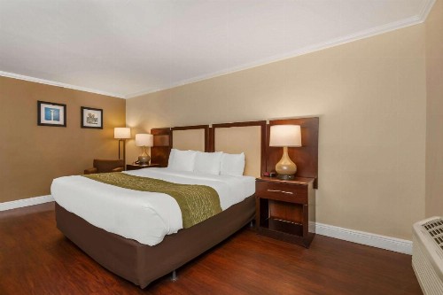Comfort Inn Oceanside Deerfield Beach - image 17
