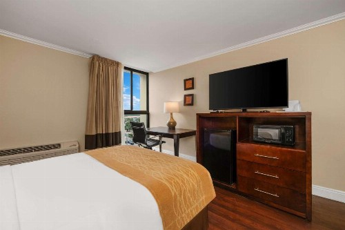 Comfort Inn Oceanside Deerfield Beach - image 8