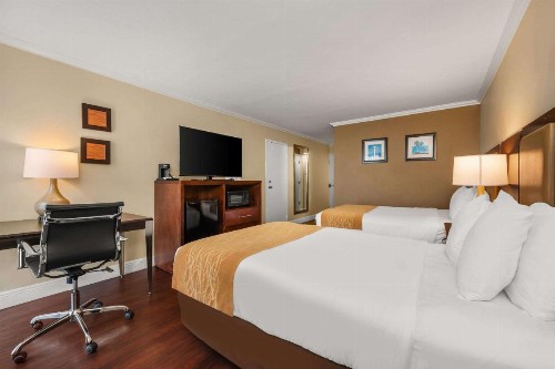 Comfort Inn Oceanside Deerfield Beach - image 9
