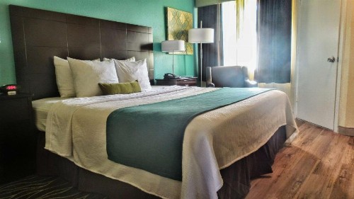 Best Western Plus Deerfield Beach Hotel & Suites - image 13