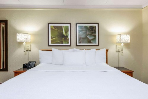 La Quinta Inn by Wyndham Deerfield Beach I-95 at Hillsboro E - image 20