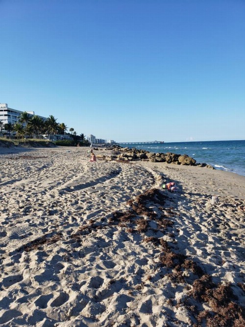 Ashley Brooke Beach Resort - image 40