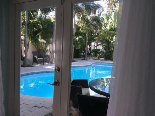 Tropical Paradise - image 8