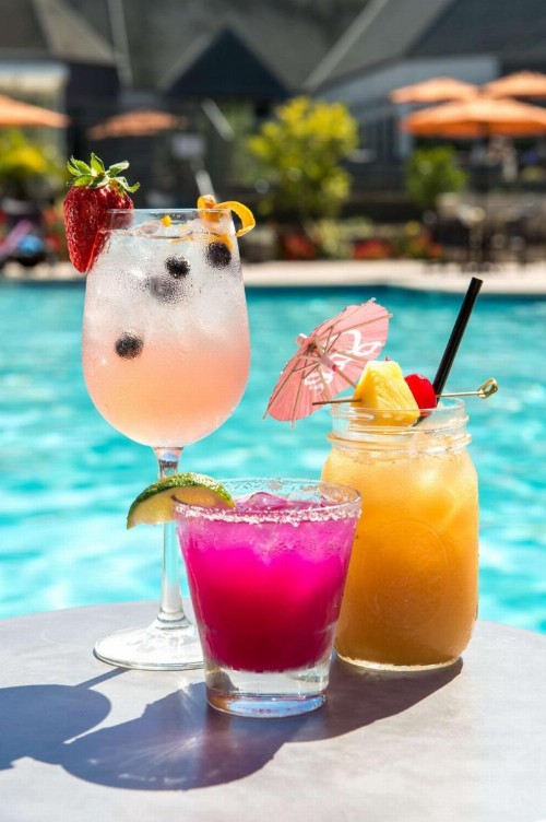 Hilton San Diego/Del Mar - image 9