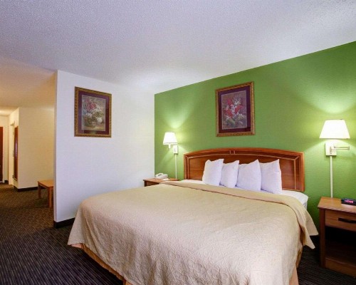 Quality Inn & Suites Airport - image 8