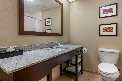 Comfort Inn & Suites DeLand - near University - image 12