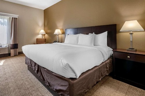 Comfort Inn & Suites DeLand - near University - image 15