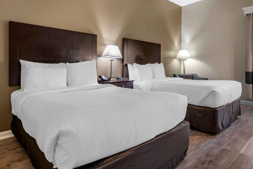 Comfort Inn & Suites DeLand - near University - image 19