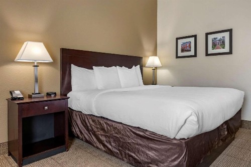 Comfort Inn & Suites DeLand - near University - image 21