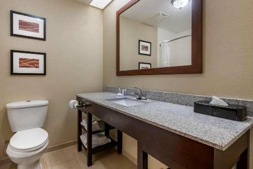 Comfort Inn & Suites DeLand - near University - image 25