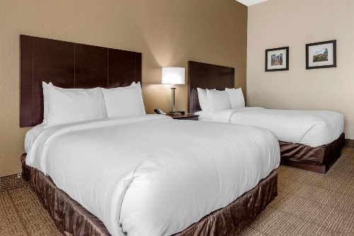 Comfort Inn & Suites DeLand - near University - image 3