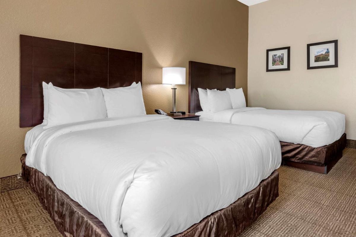 Comfort Inn & Suites DeLand - near University - image 3