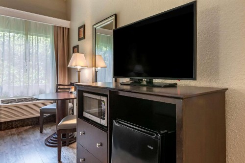 Comfort Inn & Suites DeLand - near University - image 32