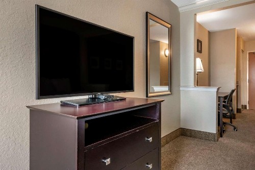 Comfort Inn & Suites DeLand - near University - image 4