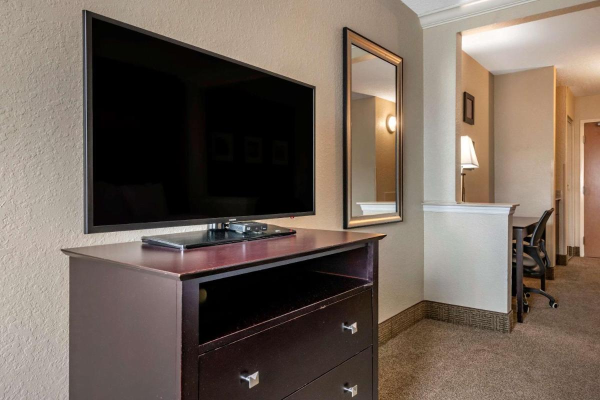 Comfort Inn & Suites DeLand - near University - image 4