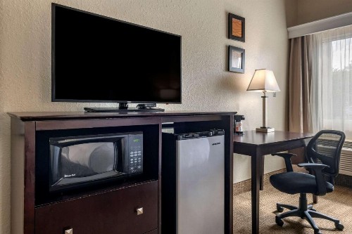 Comfort Inn & Suites DeLand - near University - image 5