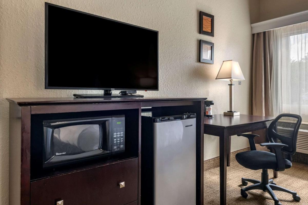 Comfort Inn & Suites DeLand - near University - image 5