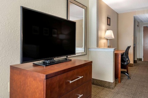 Comfort Inn & Suites DeLand - near University - image 7