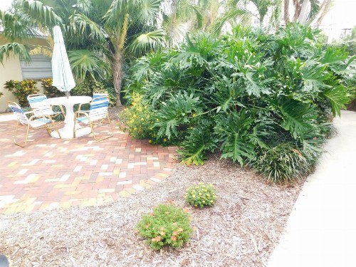 The Grove Beach Condominiums - image 18