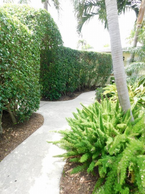 The Grove Beach Condominiums - image 4