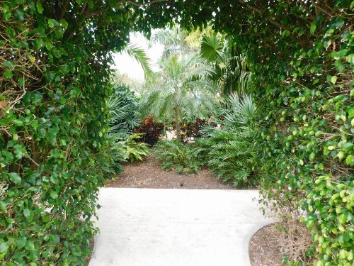 The Grove Beach Condominiums - image 8