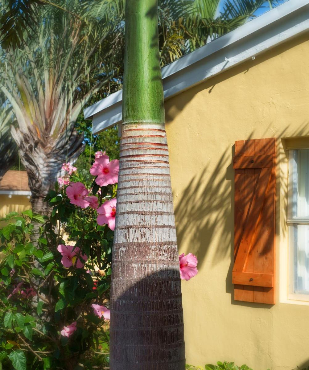Atlantic Hideaway - image 6