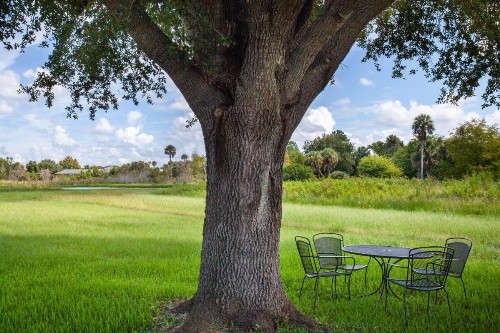 Travelodge by Wyndham Deltona - image 10