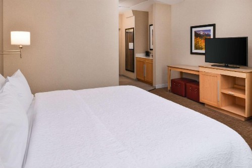 Hampton Inn & Suites Denver-Speer Boulevard - image 39