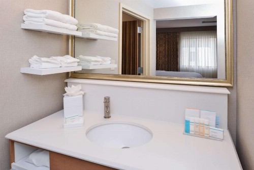 Hampton Inn & Suites Denver-Speer Boulevard - image 8