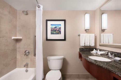 Hilton Garden Inn Denver Downtown - image 31