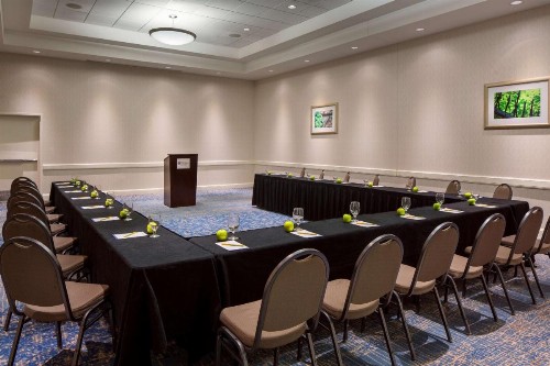 Hilton Garden Inn Denver Downtown - image 50