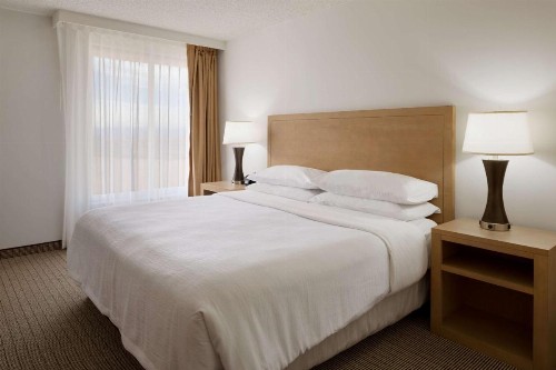 Embassy Suites Denver - International Airport - image 17