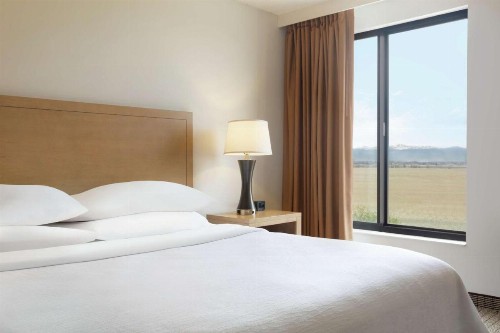 Embassy Suites Denver - International Airport - image 35