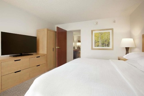 Embassy Suites Denver - International Airport - image 4
