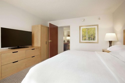 Embassy Suites Denver - International Airport - image 47