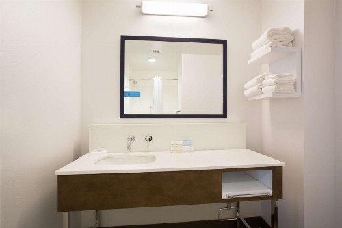 Hampton Inn & Suites Denver-Downtown - image 28