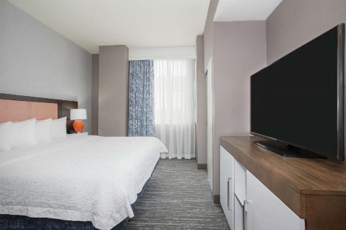 Hampton Inn & Suites Denver-Downtown - image 30