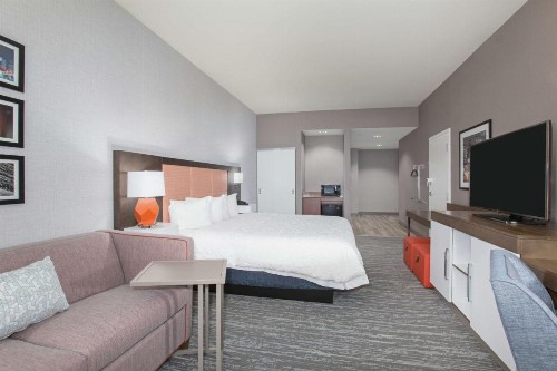 Hampton Inn & Suites Denver-Downtown - image 40