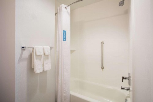 Hampton Inn & Suites Denver-Downtown - image 48