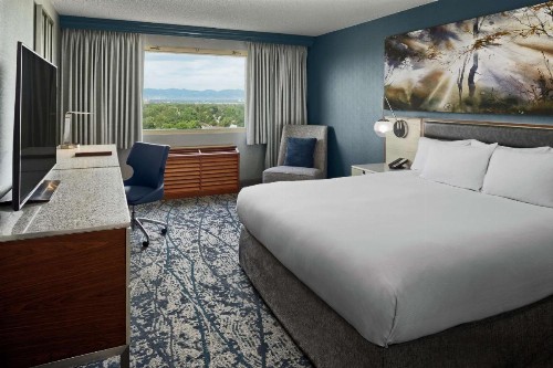 DoubleTree by Hilton Denver - image 12