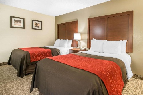 Comfort Inn & Suites Denver Northfield - image 5