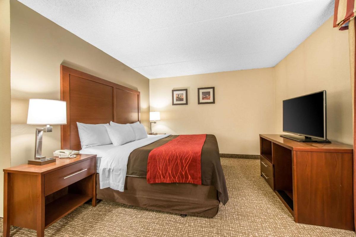 Comfort Inn & Suites Denver Northfield - image 7