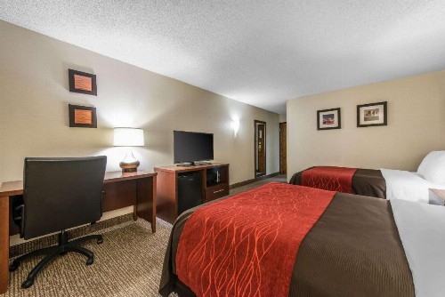 Comfort Inn & Suites Denver Northfield - image 8
