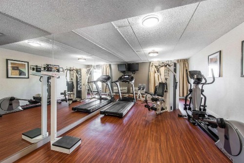 Comfort Inn & Suites Denver Northfield - image 9
