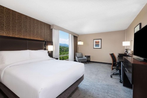 DoubleTree by Hilton Denver Cherry Creek CO - image 5
