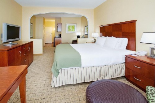 Holiday Inn Express & Suites Denver Airport an IHG Hotel - image 30