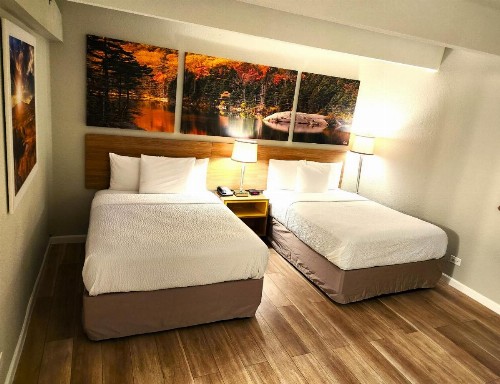 Days Inn by Wyndham Denver Downtown - image 7
