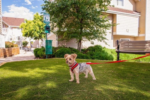 Residence Inn Denver Downtown - image 16