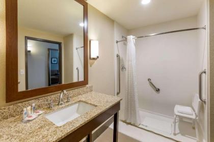 Comfort Suites Near Denver Downtown - image 14