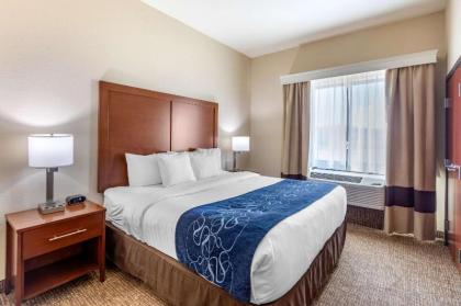 Comfort Suites Near Denver Downtown - image 9